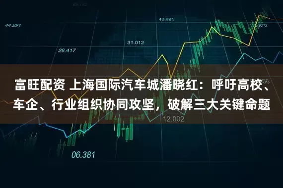 富旺配资 上海国际汽车城潘晓红：呼吁高校、车企、行业组织协同攻坚，破解三大关键命题
