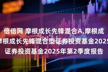倍倍网 摩根成长先锋混合A,摩根成长先锋混合C: 摩根成长先锋混合型证券投资基金2025年第2季度报告