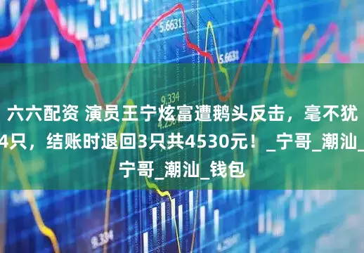 六六配资 演员王宁炫富遭鹅头反击，毫不犹豫喊4只，结账时退回3只共4530元！_宁哥_潮汕_钱包